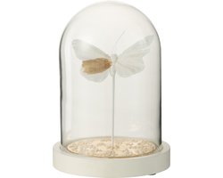 J-Line decoratie Stolp Vlinder + Puntjes - glas - wit/goud - small