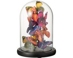 J-Line decoratie Stolp Vlinders - glas/papier - mix - medium