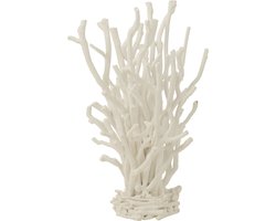 J-Line decoratie Theeboomhout - hout - wit - small