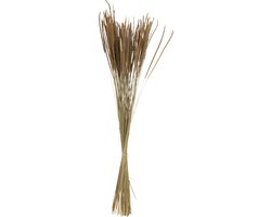 J-Line droogbloemen - Bundel gedroogde Oriental Fonteingrassen - naturel