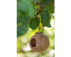 J-Line Kokosnoot Vogelhuisje - hout - bruin - small