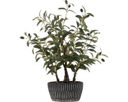 J-Line olijfboom in cement pot - kunststof - groen