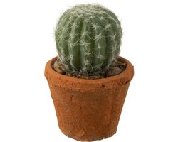 J-Line plant Cactus Rond In Pot - kunststof - groen