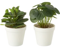 J-Line plant in pot - kunststof - groen - 2 stuks