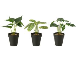 J-Line plant in pot - kunststof - groen - 3 stuks