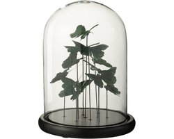 J-Line Stolp Vlinders Glas Donker Groen Large