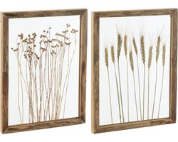 J-Line wanddecoratie Graan - dennenhout/glas - transparant/bruin - 2 stuks