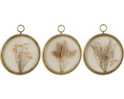 J-Line wanddecoratie Graan - metaal - mix - 3 stuks