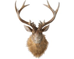 J-Line wanddecoratie Hert Kop - polyresin - bruin/lichtbeige - large