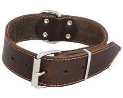 Jack and Vanilla - Brede halsband voor honden van vet leer - voor middelgrote en grote honden - Robuust, duurzaam, zacht aanvoelend, moderne look, bruin, afmetingen 40 mm x 50 cm