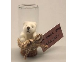 Je bent een kanjer! Dit schattige beertje maakt deze boodschap nog specialer. Het mini knuffel beertje zit in een glazen stolpje circa 6 cm hoog op een kurk. Een speciaal geschenk wat het hele jaar door gegeven kan worden.