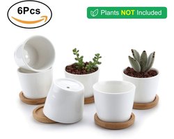 JeiibrZui Keramische Plantenpotten - Mini Vetplantenpotten - Lichtgewicht & Duurzaam Met Drainagegat - 6 Stuks - Voor Klein Groen & Wit