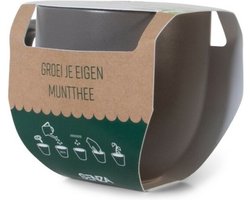 JENS Living "groei je eigen muntthee" mok