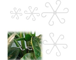 JHubers Goods - 4 Stuks Plantenstengelhouders voor Klimplanten, Transparant - Plantenstokken, Trellisstengelhaak - Tuinaccessoires Huis en Tuin