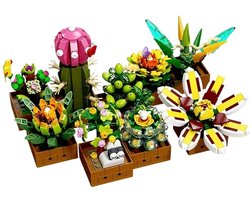JieStar JJ9037 Vetplantjes cactus bloemen bouwset | Botanical Flowers Collection modelbouw | Classic Creator STEM speelgoed bouwpakket voor volwassenen en kinderen | Educatief kunstbloemen decoratie geschikt voor Lego | bouwdoos met 913 bouwstenen