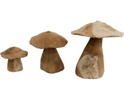 JoJo Living Woonaccessoires - Paddenstoelen - Teakhouten paddenstoel - Set van 3 - Handgemaakt
