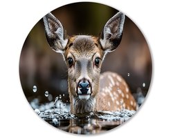 Jong hert met spetterend water - Hert rond schilderij - Wandschalen water - Hyperrealisme - Ronde kunst aan de muur - Hedendaagse schilderijen - muurcirkel aluminium 50x50 cm