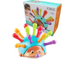 Joyage Egel Fijne Motoriek Speelgoed - Sensorisch speelgoed baby 6 maanden 0 jaar - Baby Speelgoed 1 jaar meisjes - Motoriek speelgoed Montessori speelgoed - Meisjes speelgoed 2 jaar jongens - Kinderspeelgoed Peuter speelgoed - Kleuter speelgoed