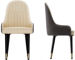 J&R Eetkamer Stoelen - Eettafel stoelen - PU Leder - 2 stuks - Grijs en wit - Zwarte Poot