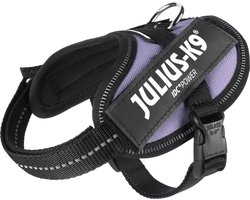Julius-K9 IDC®Powertuig, 2XS - Baby2, paars