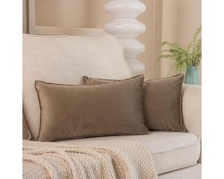 JUSPURBET 14x24 Set van 2 sierkussenslopen voor bank, sofa en bed, knusse fluwelen lendenkussenslopen met onzichtbare rits, voor woonkamer, huisdecoratie, steen