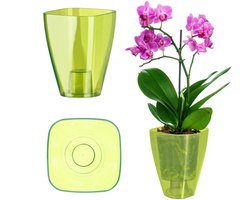 KADAX Bloempot, slanke orchideeënpot, eenvoudige plantenbak, bloempot voor orchidee, Moeras Madeliefjes, plantenbak voor keuken en woonkamer (? 12 cm, vierkant, groen)
