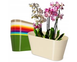 KADAX Bloempot van kunststof, 27 x 13 cm, brede pot, ovale plantenpot, bloemenbloempot voor orchideeën, Bellis, viooltjes, draceinen (ecru)