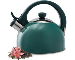 KADAX Waterketel van roestvrij staal, 1,7 l waterketel in verschillende kleuren, theeketel voor alle warmtebronnen, roestvrijstalen waterkoker, retro fluitketel (groen)