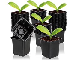 kamerbroeikas voor het kweken van planten, kweekset en kokos-bronbak voor planten, plantenbakken voor de woning.