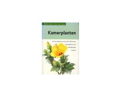 Kamerplanten
