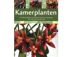 Kamerplanten