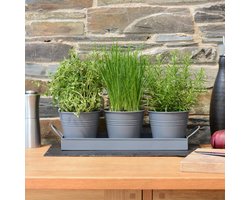 Kamerplanten Dienblad Set van 3 - Kweek verse kruiden thuis - plantenbakken vensterbank keuken voor basilicum munt peterselie bloemen - metaal (houtskoolgrijs)