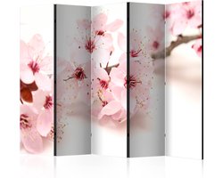 Kamerscherm - Scheidingswand - Vouwscherm -  Cherry Blossom II [Room Dividers] 225x172 - Artgeist Vouwscherm