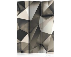 Kamerscherm - Scheidingswand - Vouwscherm - Cosmic Silver [Room Dividers] 135x172 - Artgeist Vouwscherm