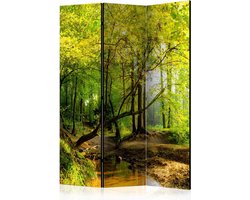 Kamerscherm - Scheidingswand - Vouwscherm - Forest Clearing [Room Dividers] 135x172 - Artgeist Vouwscherm