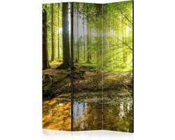 Kamerscherm - Scheidingswand - Vouwscherm - Forest Lake [Room Dividers] 135x172 - Artgeist Vouwscherm
