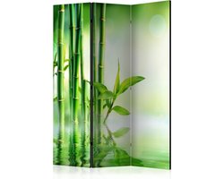 Kamerscherm - Scheidingswand - Vouwscherm - Green Bamboo [Room Dividers] 135x172 - Artgeist Vouwscherm