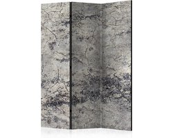 Kamerscherm - Scheidingswand - Vouwscherm - Grey Lady [Room Dividers] 135x172 - Artgeist Vouwscherm