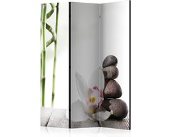 Kamerscherm - Scheidingswand - Vouwscherm - Harmony [Room Dividers] 135x172 - Artgeist Vouwscherm