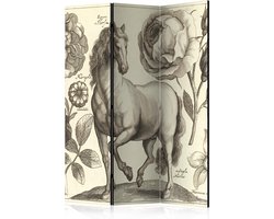 Kamerscherm - Scheidingswand - Vouwscherm - Horse [Room Dividers] 135x172 - Artgeist Vouwscherm