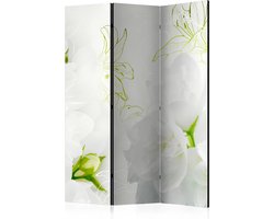 Kamerscherm - Scheidingswand - Vouwscherm - Jasmine [Room Dividers] 135x172 - Artgeist Vouwscherm