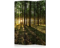 Kamerscherm - Scheidingswand - Vouwscherm - Morning in the Forest [Room Dividers] 135x172 - Artgeist Vouwscherm