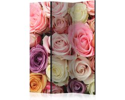Kamerscherm - Scheidingswand - Vouwscherm - Pastel roses [Room Dividers] 135x172 - Artgeist Vouwscherm