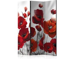 Kamerscherm - Scheidingswand - Vouwscherm - Poppies in the Moonlight [Room Dividers] 135x172 - Artgeist Vouwscherm