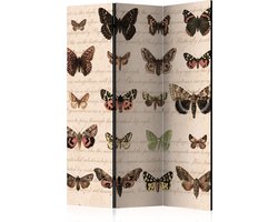 Kamerscherm - Scheidingswand - Vouwscherm - Retro Style: Butterflies [Room Dividers] 135x172 - Artgeist Vouwscherm
