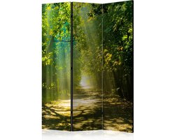 Kamerscherm - Scheidingswand - Vouwscherm - Road in Sunlight [Room Dividers] 135x172 - Artgeist Vouwscherm