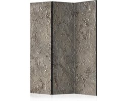 Kamerscherm - Scheidingswand - Vouwscherm - Silver Serenade [Room Dividers] 135x172 - Artgeist Vouwscherm