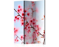 Kamerscherm - Scheidingswand - Vouwscherm - Symbol of Japan - sakura flowers [Room Dividers] 135x172 - Artgeist Vouwscherm