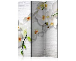 Kamerscherm - Scheidingswand - Vouwscherm - The Urban Orchid [Room Dividers] 135x172 - Artgeist Vouwscherm