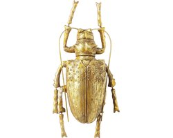 Kare Wanddecoratie Longicorn Beetle Gold